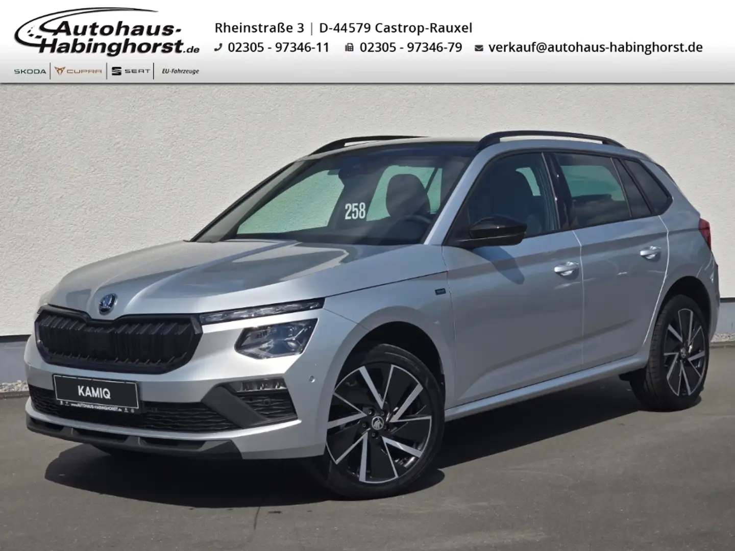 Skoda Kamiq 1.5 TSI DSG Drive Pano Navi eHk Alu18 AHK Silber - 1