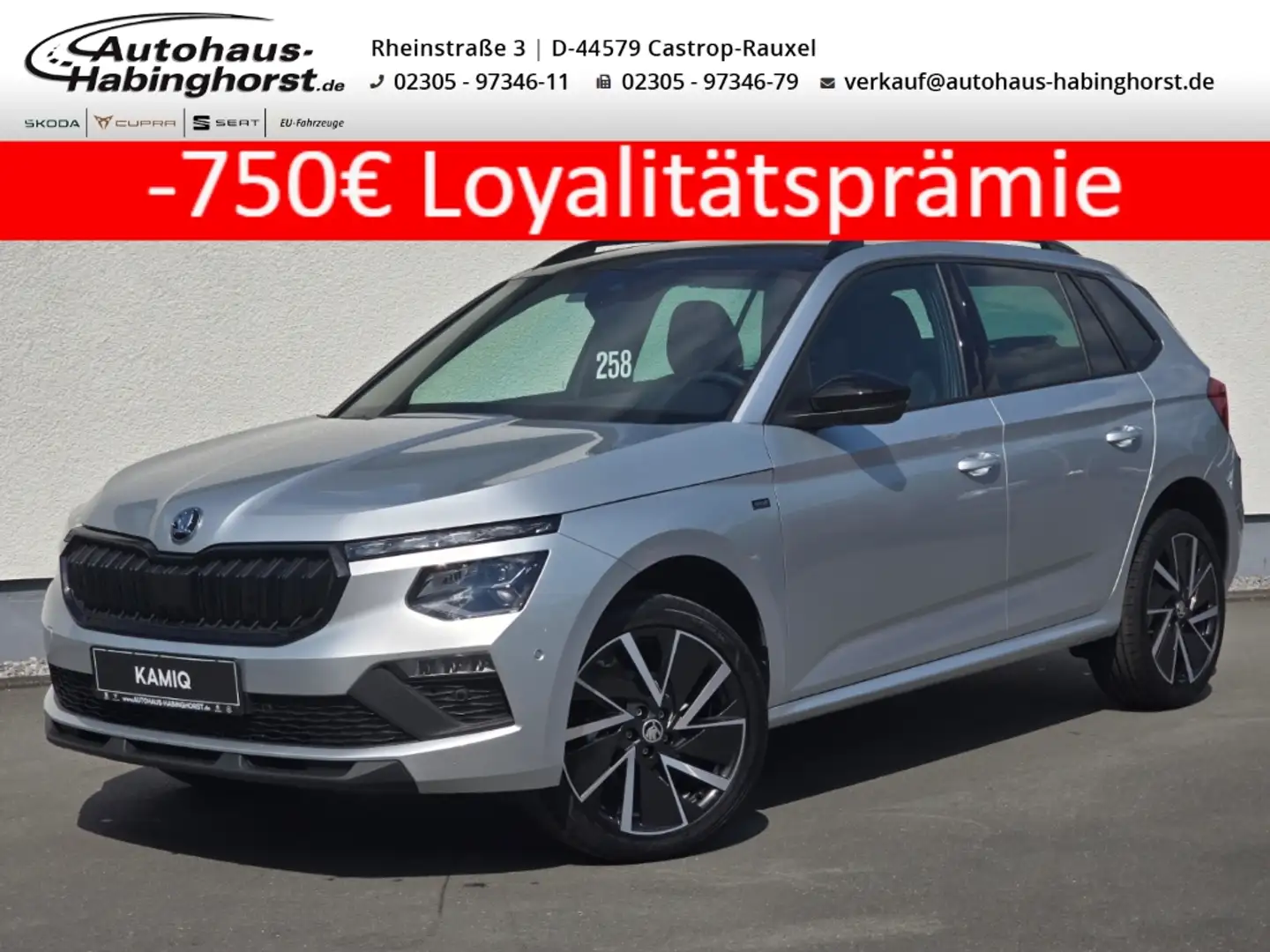 Skoda Kamiq 1.5 TSI DSG Drive Pano Navi eHk Alu18 AHK Silber - 1