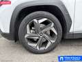 Hyundai TUCSON 1.6 HEV aut. Exellence Weiß - thumbnail 18