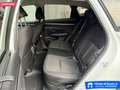 Hyundai TUCSON 1.6 HEV aut. Exellence Weiß - thumbnail 31