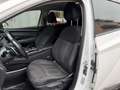 Hyundai TUCSON 1.6 HEV aut. Exellence Bianco - thumbnail 15