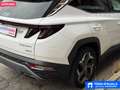 Hyundai TUCSON 1.6 HEV aut. Exellence Weiß - thumbnail 17