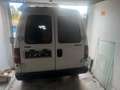Fiat Scudo 1,9 Ds. Kastenwagen export Kein pickerl - thumbnail 4