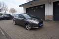 Ford Fiesta 1.25 Titanium KLIMA+ALU+ZV+2Hd+Org.65.Tkm+EURO6 Gris - thumbnail 1