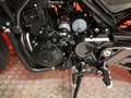 Benelli Leoncino 500 Trail Nero - thumbnail 5