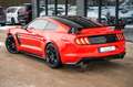 Ford Mustang MUSTANG TURBO SCHALT ! EXKLUSIVE GT350 FACELIFT Rosso - thumbnail 12