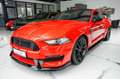 Ford Mustang MUSTANG TURBO SCHALT ! EXKLUSIVE GT350 FACELIFT Rosso - thumbnail 1