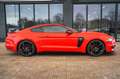 Ford Mustang MUSTANG TURBO SCHALT ! EXKLUSIVE GT350 FACELIFT Rosso - thumbnail 9