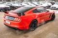 Ford Mustang MUSTANG TURBO SCHALT ! EXKLUSIVE GT350 FACELIFT Rosso - thumbnail 11