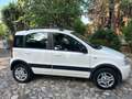 Fiat Panda 1.2 natural power Climbing - thumbnail 1