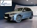 BMW X5 xDrive 40d Gris - thumbnail 1