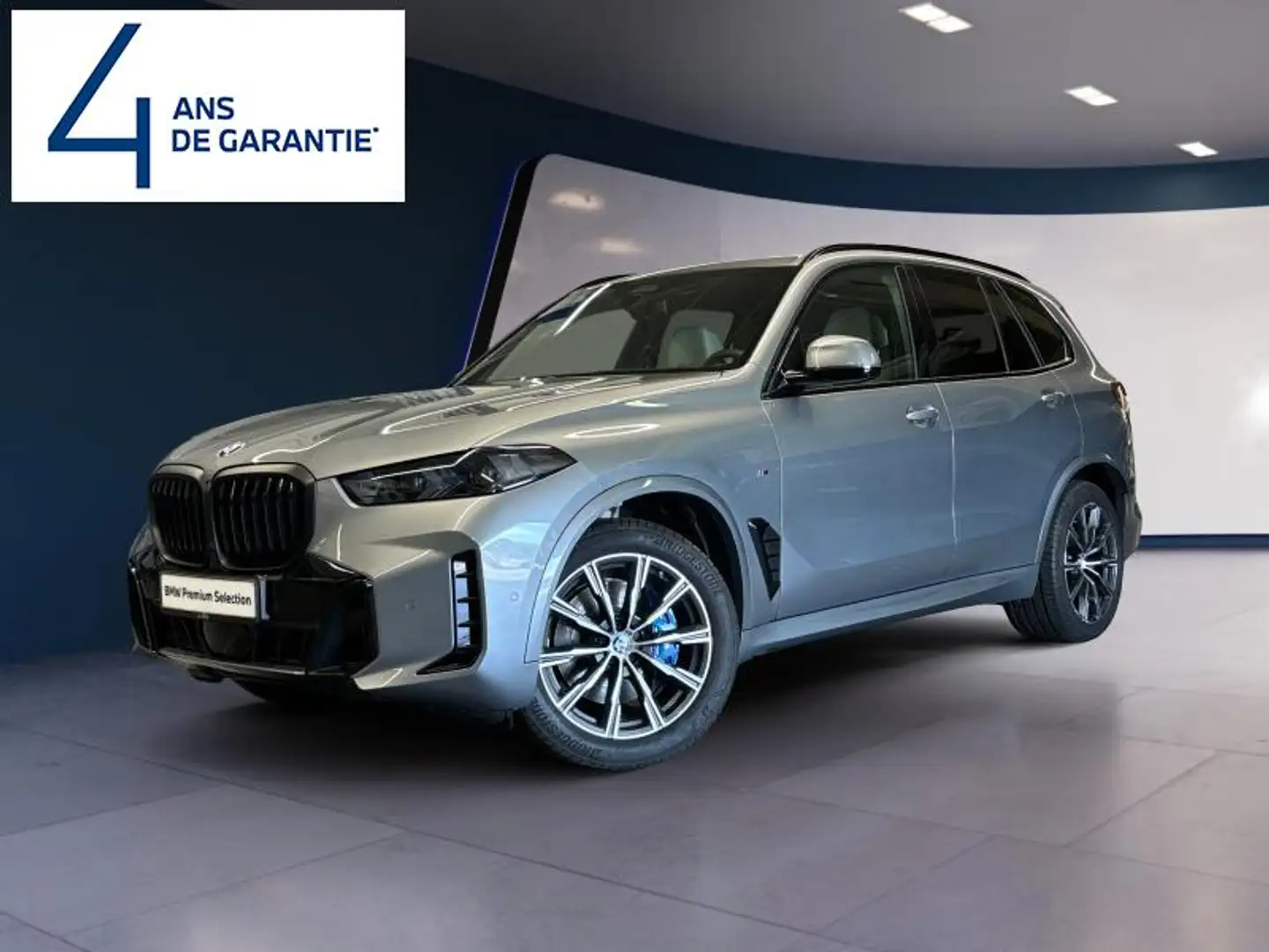 BMW X5 xDrive 40d Gris - 1