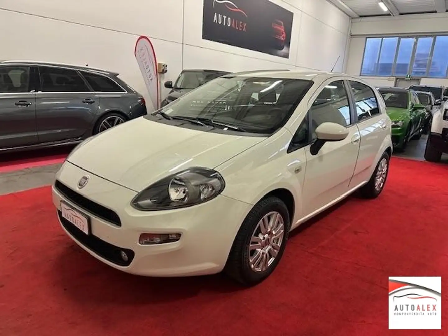 Fiat Punto 1.3 mjt II 16v Pop 75cv 5p NEOPATENTATI Wit - 1