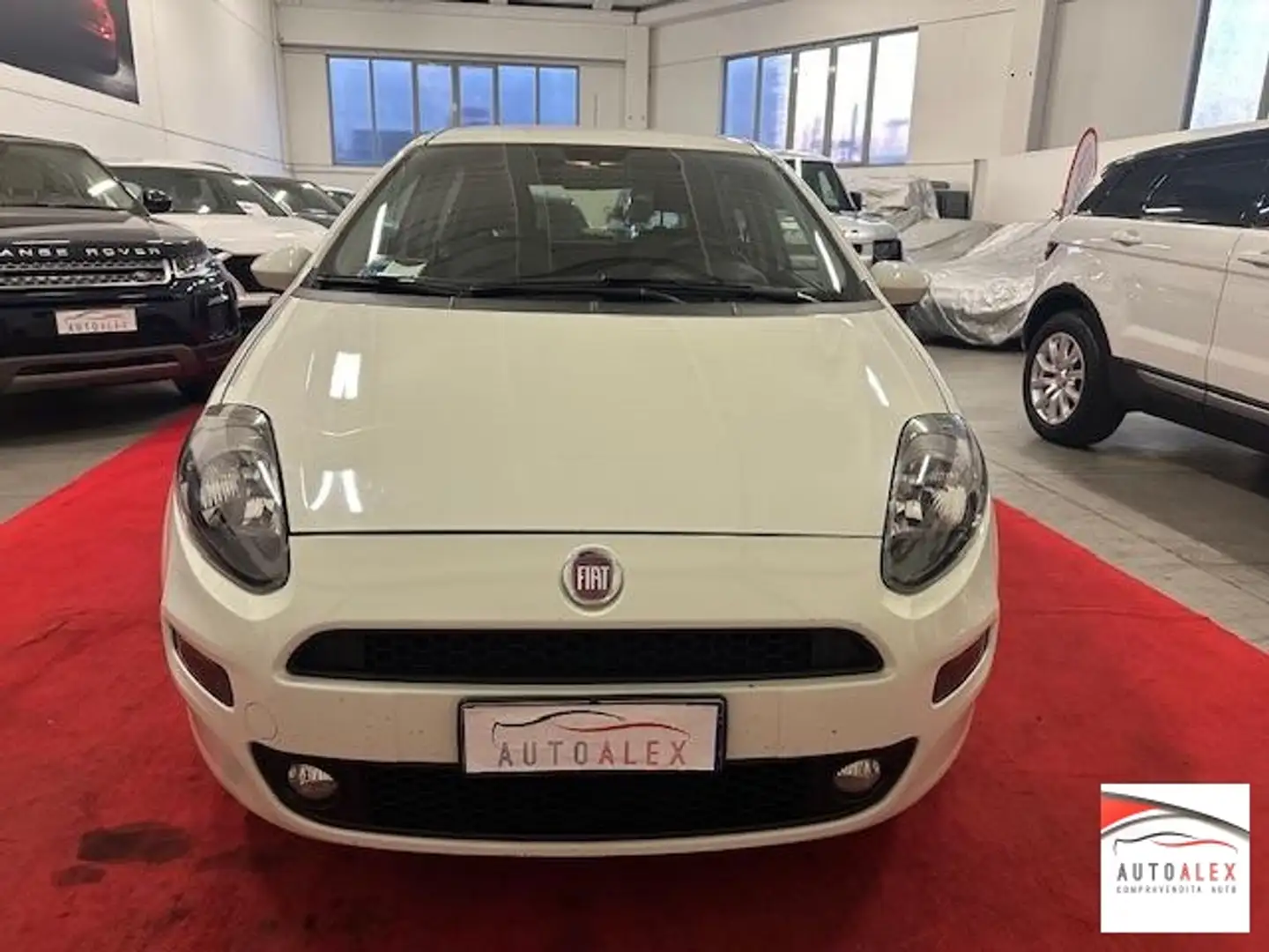 Fiat Punto 1.3 mjt II 16v Pop 75cv 5p NEOPATENTATI Wit - 2