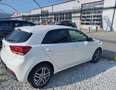 Kia Rio Rio 1,25 MPI Titan ISG Titan Weiß - thumbnail 3