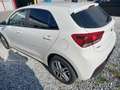 Kia Rio Rio 1,25 MPI Titan ISG Titan Weiß - thumbnail 6