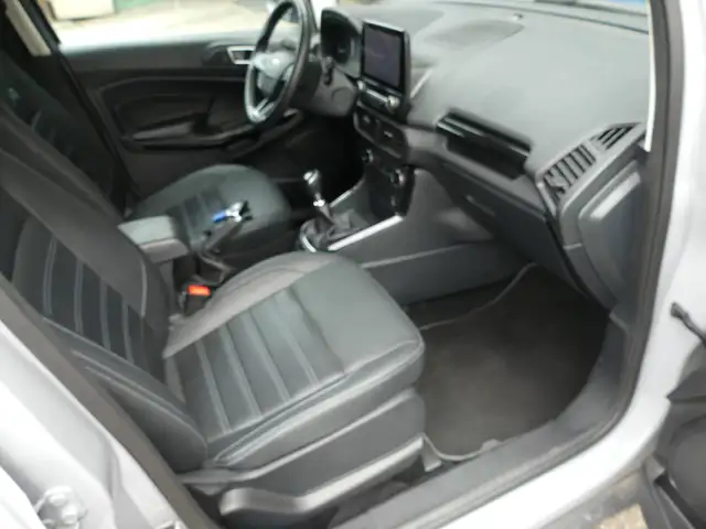 Ford Ecosport view 12