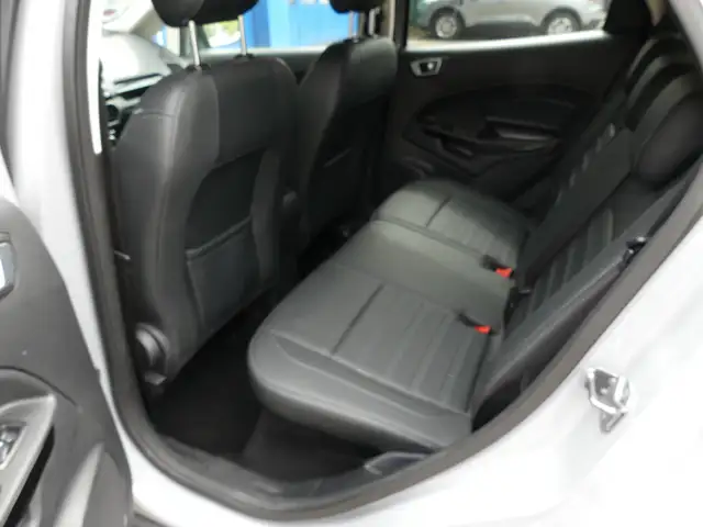 Ford Ecosport view 15