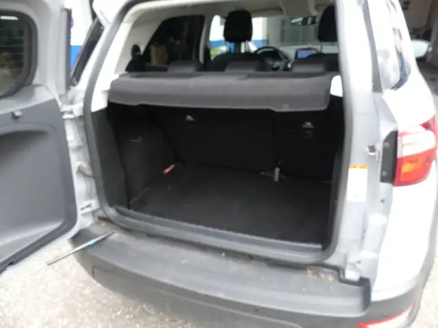 Ford Ecosport view 14
