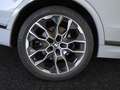 BMW X7 xDrive40d M Sport Pro|AHK|SkyLounge|H/K Gris - thumbnail 10