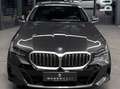 BMW 550 e xDrive M Sport, Innovations/Travel/Comfort Paket Grau - thumbnail 9
