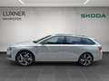 Skoda Octavia 4x4 Sportline TSI DSG Grau - thumbnail 2