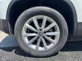 Volkswagen Tiguan Tiguan 2.0 16V TDI BlueMotion - 110  Sportline Business PHASE 2 Blanc - thumbnail 25