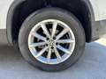 Volkswagen Tiguan Tiguan 2.0 16V TDI BlueMotion - 110  Sportline Business PHASE 2 Blanc - thumbnail 24
