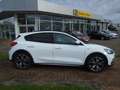 Ford Focus Focus 5 T. 1.0 EcoBoost ACTIVE Weiß - thumbnail 5