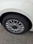 Fiat 500 500 1.2 Sport 69cv Bianco - thumbnail 10