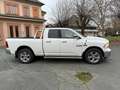 Dodge RAM BIG HORN 3.0 Diesel Autocarro 5 posti Bianco - thumbnail 4