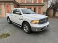 Dodge RAM BIG HORN 3.0 Diesel Autocarro 5 posti Bianco - thumbnail 3