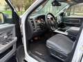 Dodge RAM BIG HORN 3.0 Diesel Autocarro 5 posti Bianco - thumbnail 8