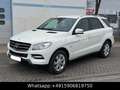 Mercedes-Benz ML 250 CDI /4 Matic/ NAVI / TEMPO / SHZG / AHK Alb - thumbnail 1