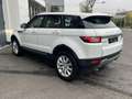 Land Rover Range Rover Evoque Range Rover Evoque 2.0 ED4 - SE - 150 Blanco - thumbnail 4
