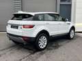Land Rover Range Rover Evoque Range Rover Evoque 2.0 ED4 - SE - 150 Blanco - thumbnail 6