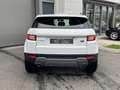 Land Rover Range Rover Evoque Range Rover Evoque 2.0 ED4 - SE - 150 Blanco - thumbnail 5