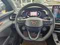 CUPRA Terramar 2.0TSI 4Drive DSG VZ P-Dach MATRIX HuD 20" 360° Noir - thumbnail 12