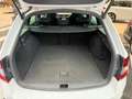 Skoda Octavia Combi RS 2,0 TDI 4x4 DSG *1.Besitz* *ACC* *PANO* Weiß - thumbnail 18