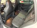 Skoda Octavia Combi RS 2,0 TDI 4x4 DSG *1.Besitz* *ACC* *PANO* Weiß - thumbnail 17