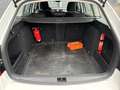 Skoda Octavia Combi 1.0 TSI Greentech Ambition Business DSG Auto Wit - thumbnail 17