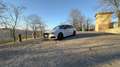 Audi S3 Sportback 2.0 tfsi quattro 310cv s-tronic Stage 2 - thumbnail 5