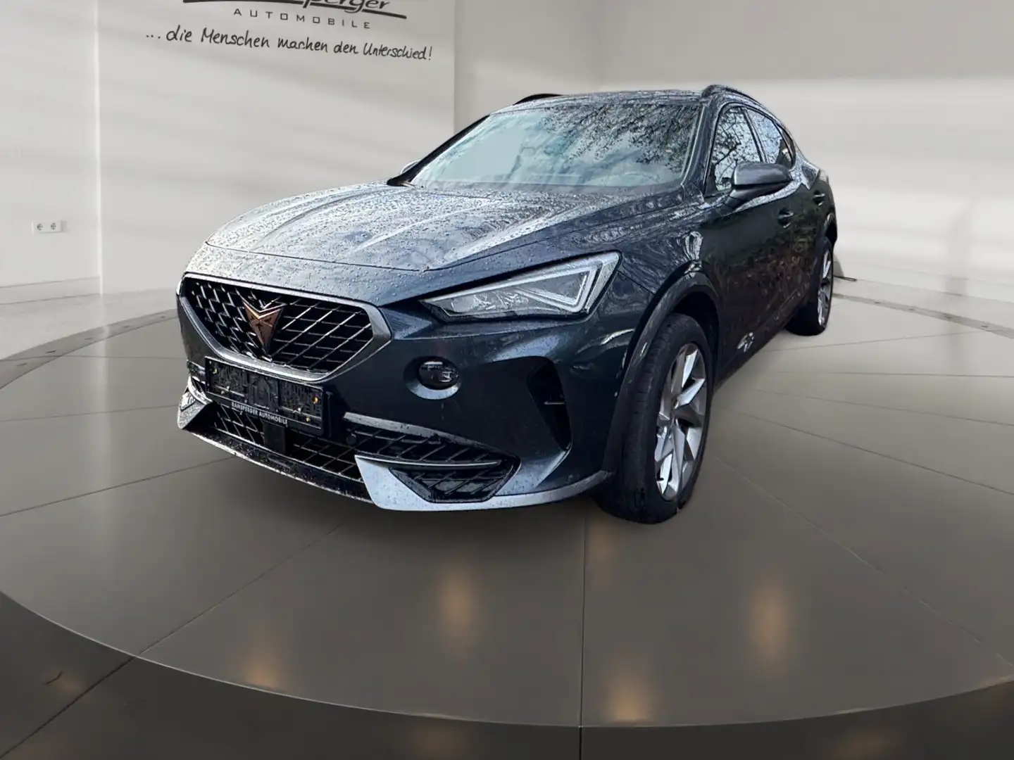 CUPRA Formentor 2.0 TDI 4Drive LED/Navi/Virtual/uvm. Grau - 2