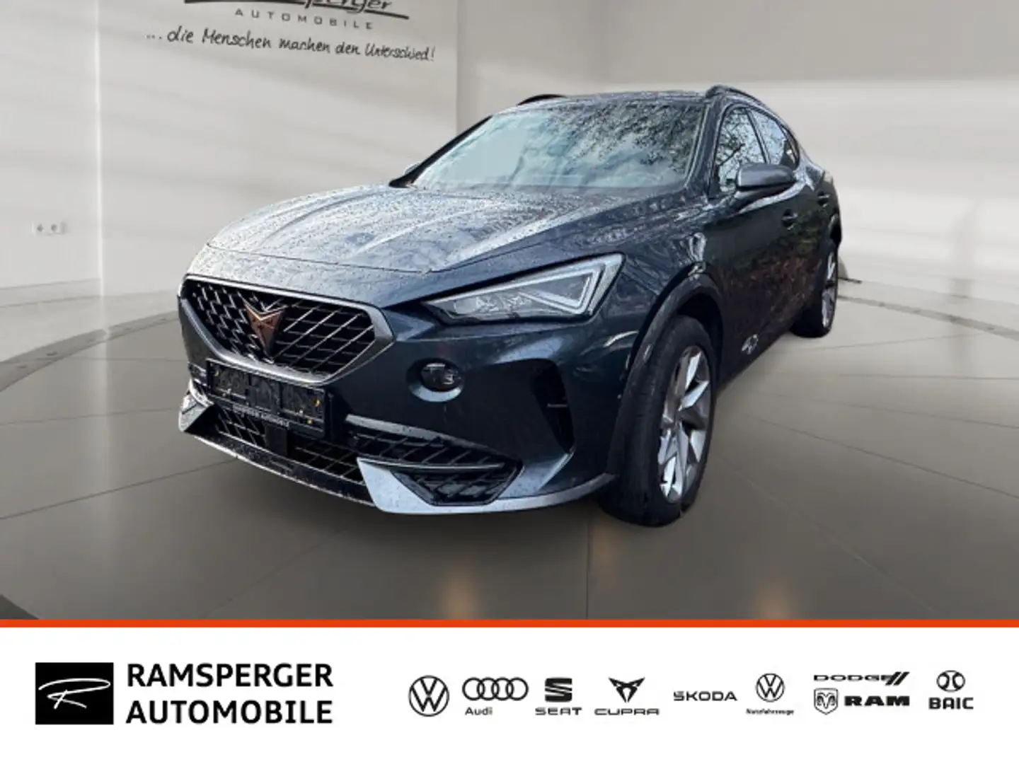 CUPRA Formentor 2.0 TDI 4Drive LED/Navi/Virtual/uvm. Grau - 1