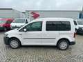 Volkswagen Caddy Caddy 1,0TSI 75kW BMT Comfortline 5-Sitzer KLIMA Weiß - thumbnail 2