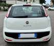 Fiat Punto Evo 3p 1.2 Active s&s Bianco - thumbnail 4