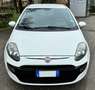 Fiat Punto Evo 3p 1.2 Active s&s Bianco - thumbnail 1
