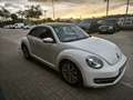 Volkswagen Beetle 2.0TDI Design 140 - thumbnail 2