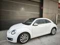 Volkswagen Beetle 2.0TDI Design 140 - thumbnail 1