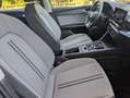 SEAT Leon 1.0 ETSE Sportstourer DSG Hybrid 110 Cv Tagliandat Zilver - thumbnail 13